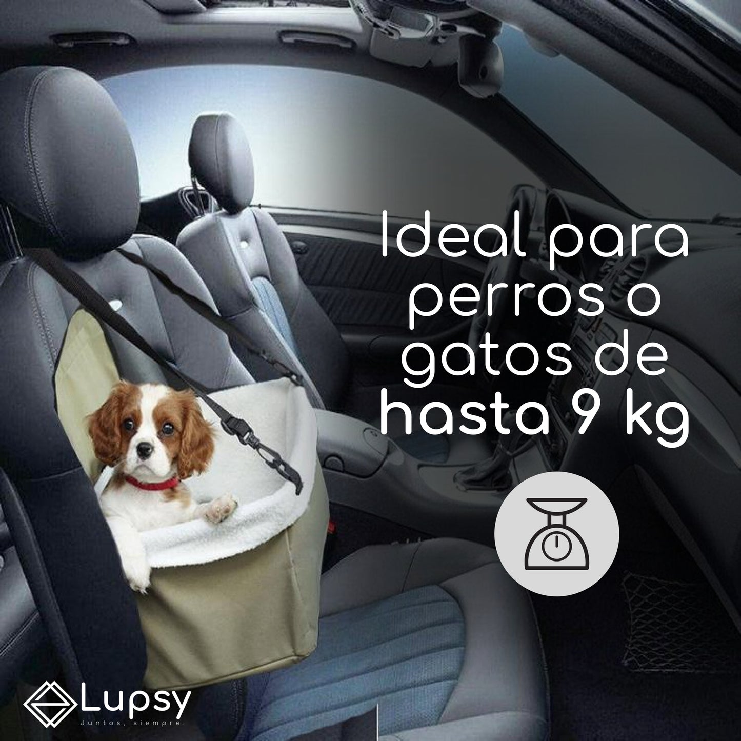 Asiento de auto Premium para tu mascota / Portable